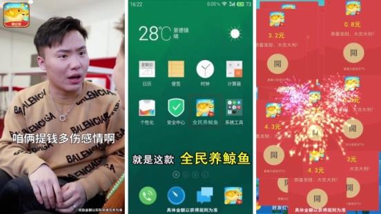 全民养鲸鱼分红版