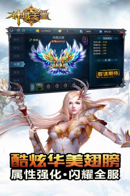 神域天堂三职业版