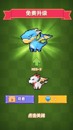 养群飞龙当宠物