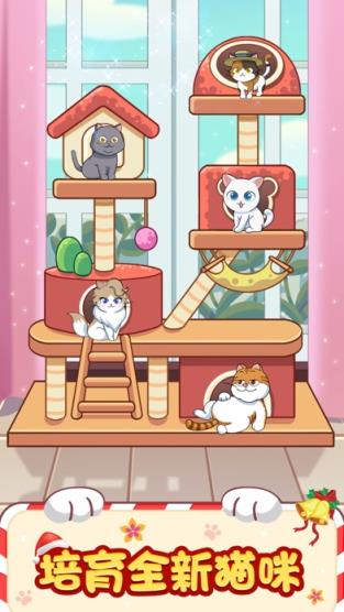 猫咪小家红包版