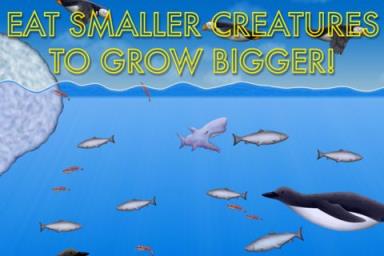 美味海洋2中文版