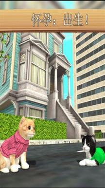 猫咪模拟器联机版