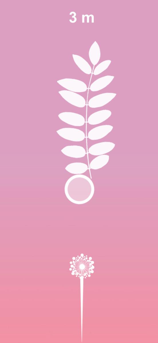 逃生力场保护蒲公英