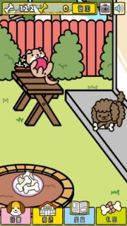 我与汪星人破解版