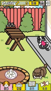 我与汪星人破解版