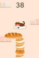 Cat Bakery
