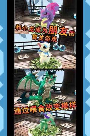 小龙的风诗手游