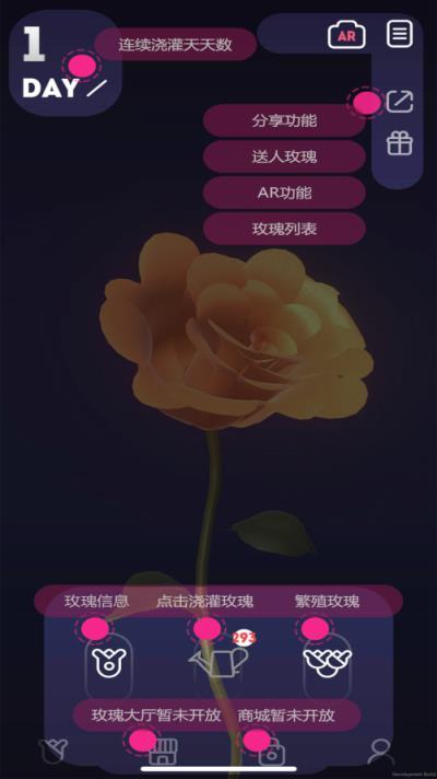 The Rose AR游戏
