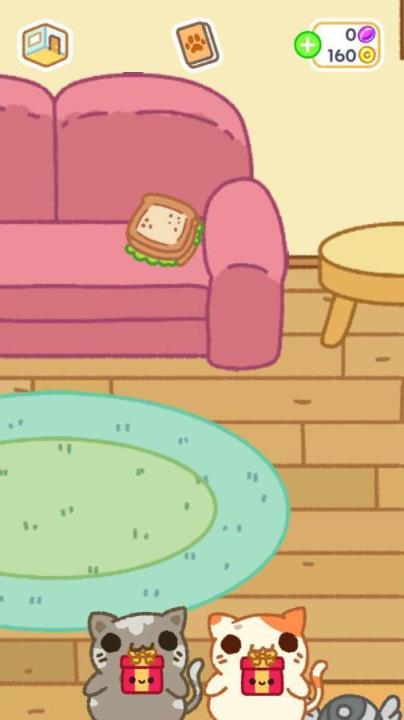 偷偷摸摸的猫游戏