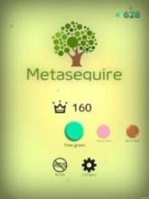 Metasequire
