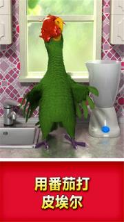 会说话的鹦鹉游戏