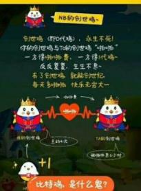 趣赚养鸡场红包版