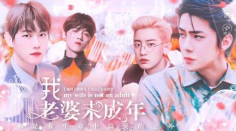 我老婆未成年橙光游戏破解版