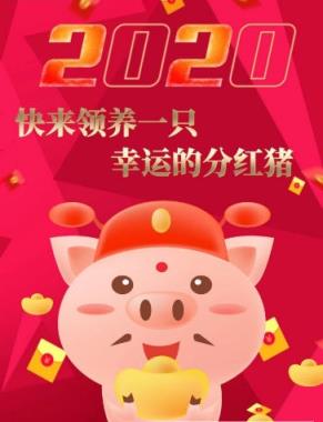 陀螺养猪赚钱