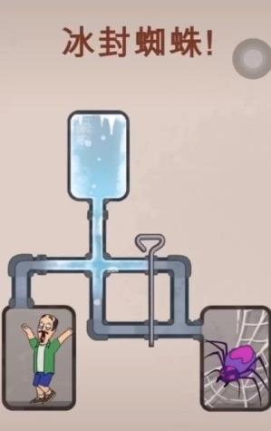 冷冻蜘蛛游戏
