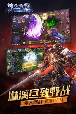 神之荣耀满级版