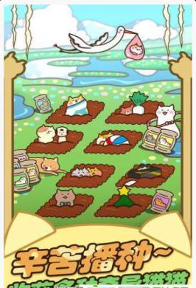 猫咪田园破解版