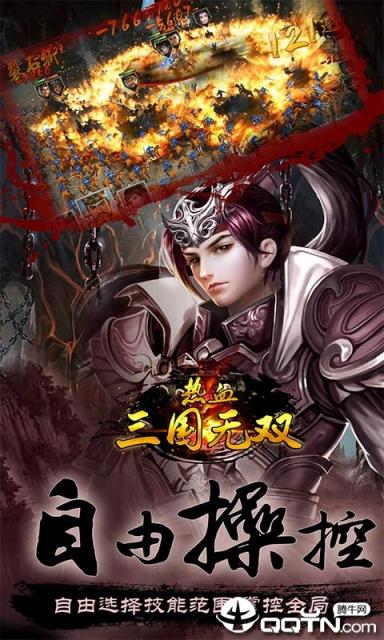 热血三国无双九游版
