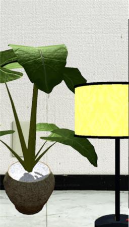 妹妹的房间将在2周内消失