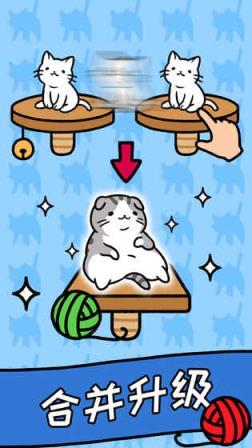 猫咪公寓最新版