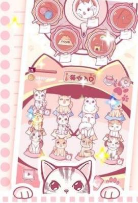 撸猫者联盟红包版