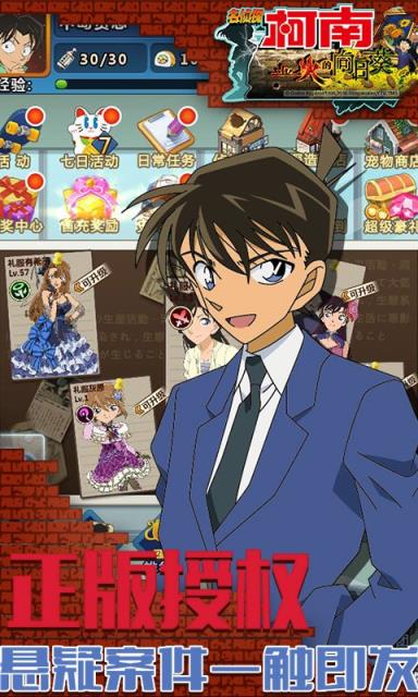 业火的向日葵BT版