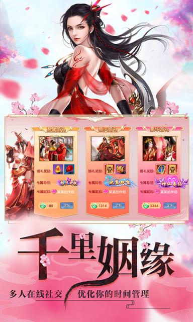 漫天花剑雨内购版