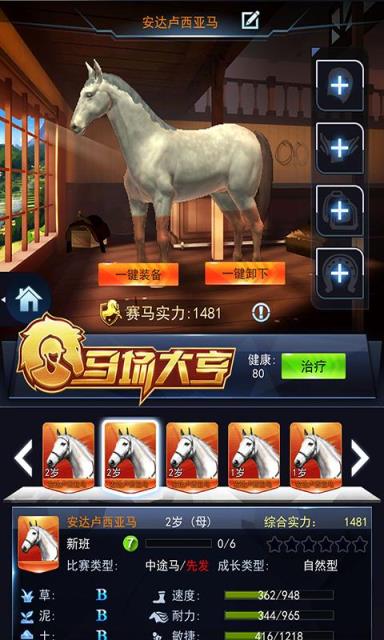 马场大亨破解版