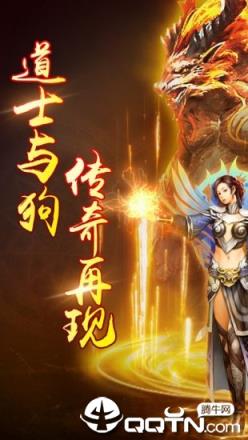 满屏全是虎无限版