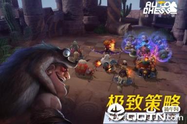 多多自走棋九游版