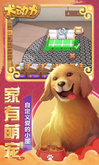 犬动力九游版
