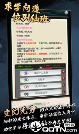 真武修仙纪内购版