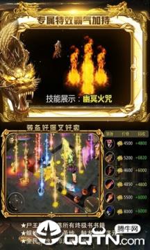 武帝传奇内购版
