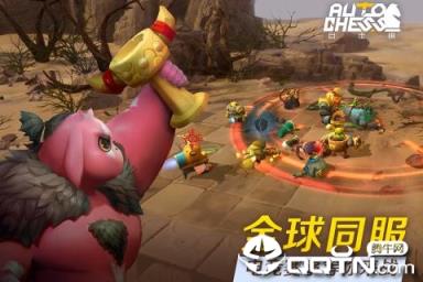 多多自走棋九游版