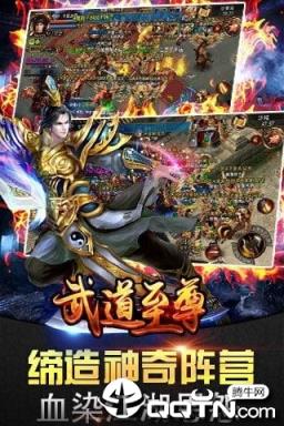 武道至尊无限元宝版
