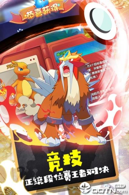 口袋觉醒内购版