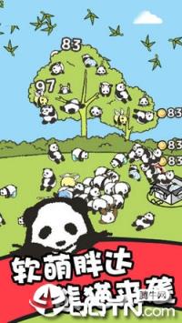 熊猫森林中文内购版