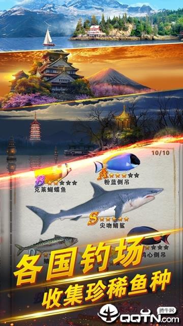 世界钓鱼之旅内购版