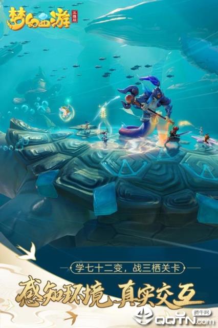 梦幻西游三维版网易版