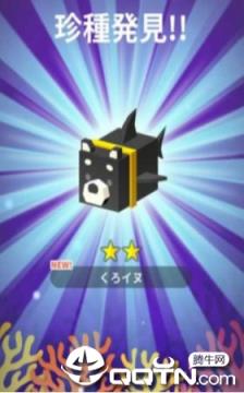 海洋生物大作战