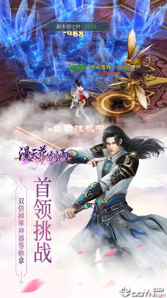 漫天花剑雨BT版