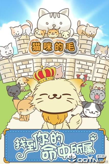 猫咪的毛内购版