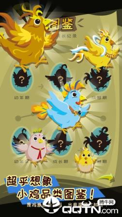 鸡不可失游戏