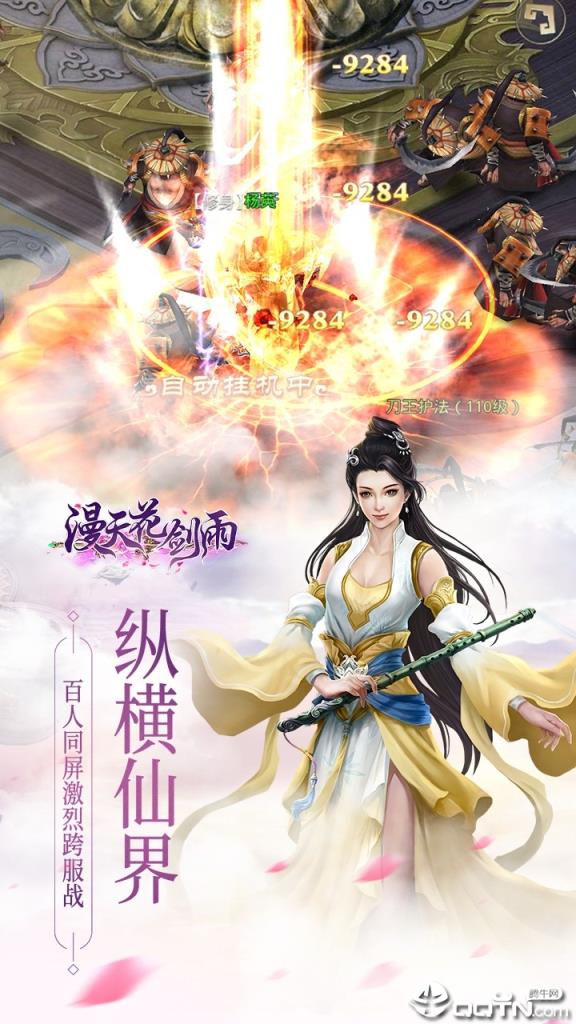 漫天花剑雨BT版