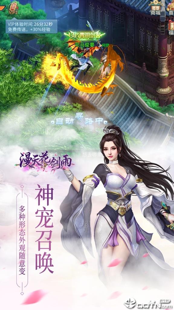 漫天花剑雨BT版