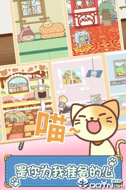 猫咪的毛内购版