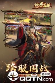 神龙宝藏内购版