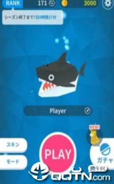 海洋生物大作战