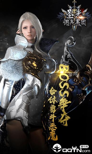 圣光佣兵团高V版