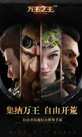 万王之王3D手游九游版